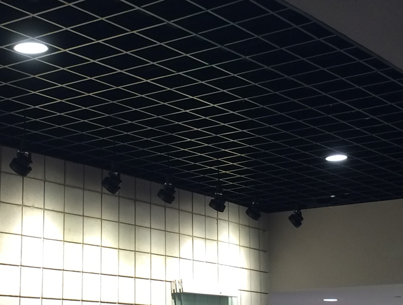 Grid Cell Cellular Metal Ceiling